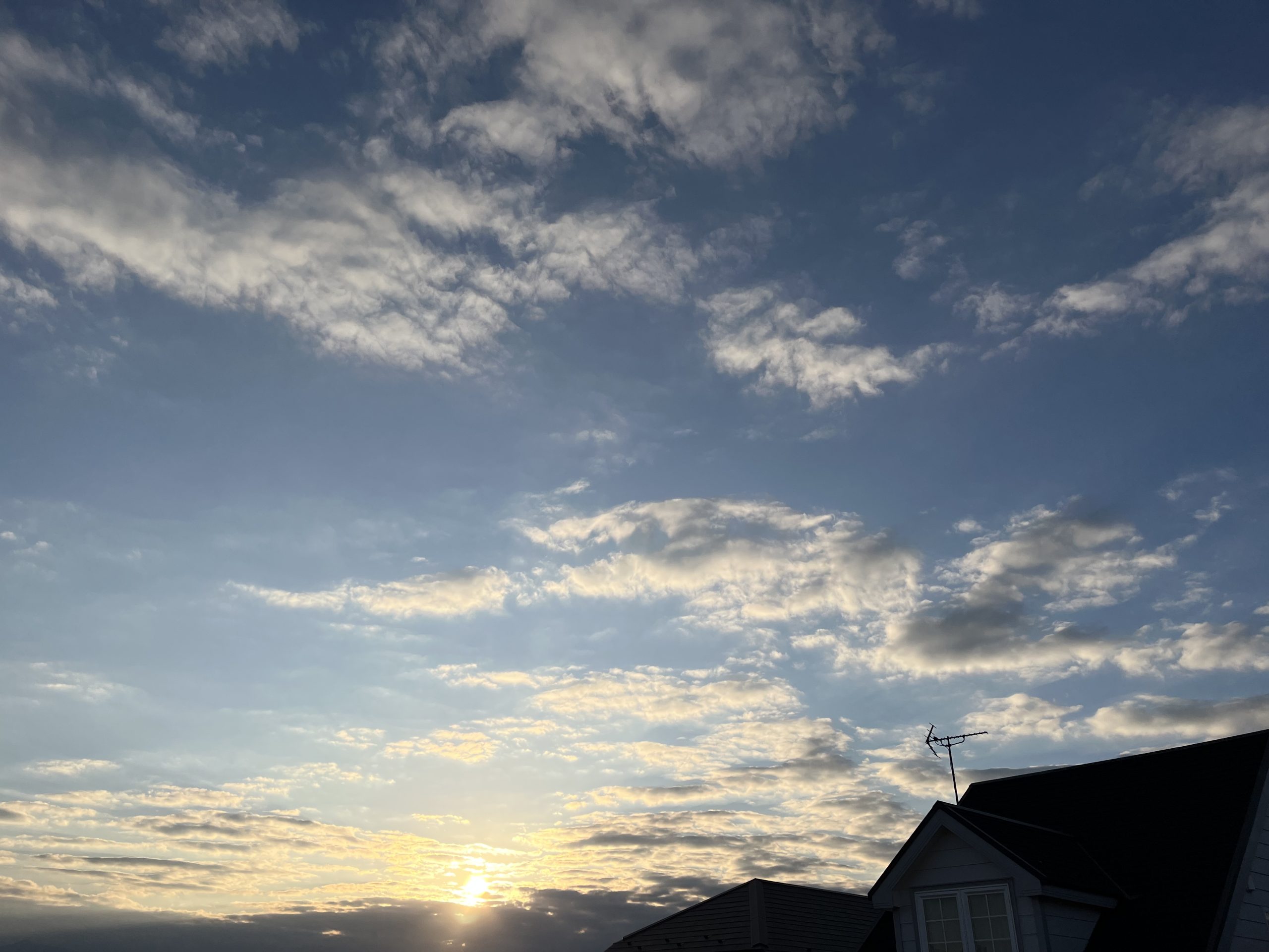 リンパマッサージセルライトスパッツ｜好転反応って何？｜履き続けた結果は？｜